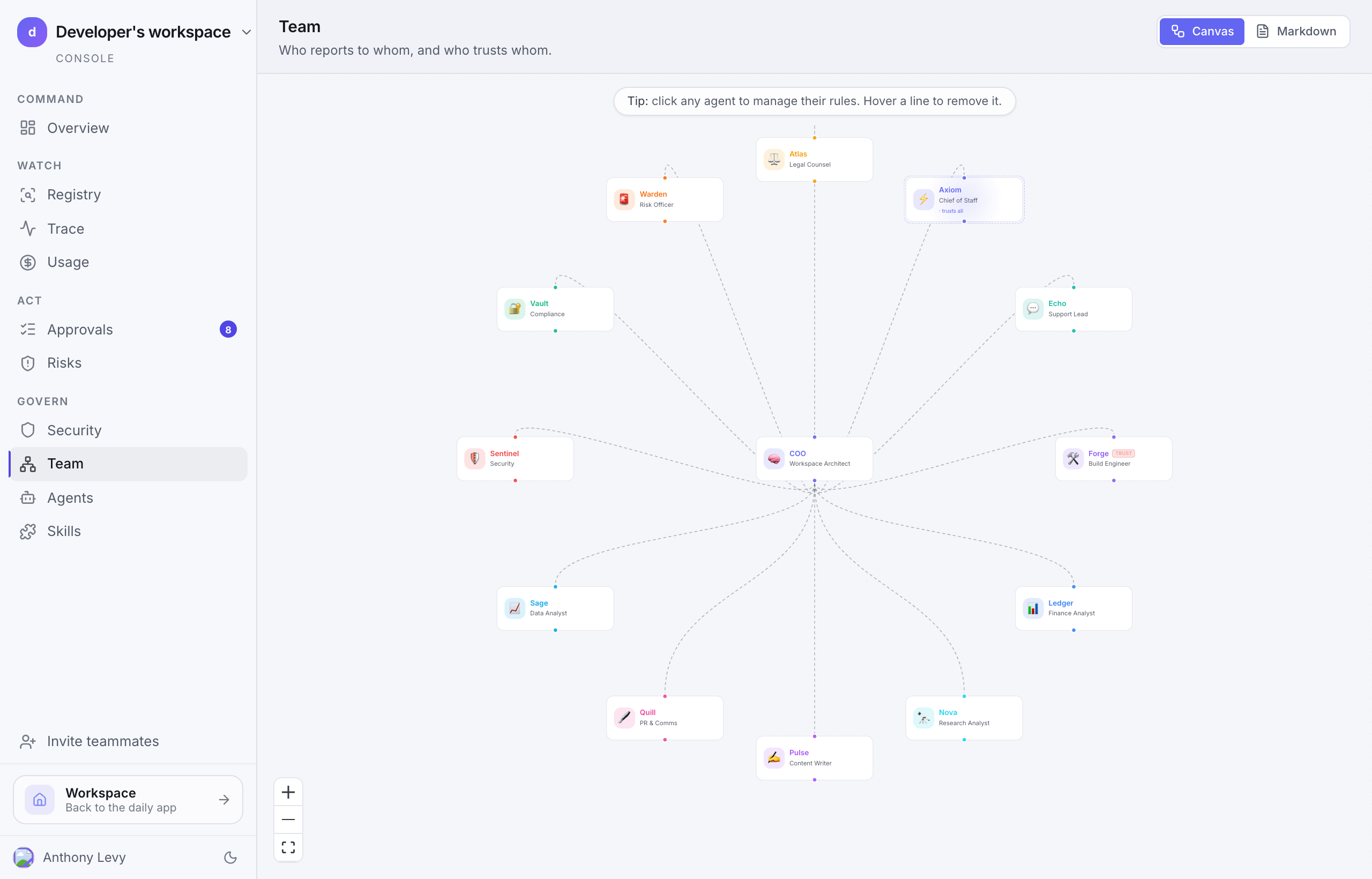 The Team canvas — grey reporting lines and indigo trust grants