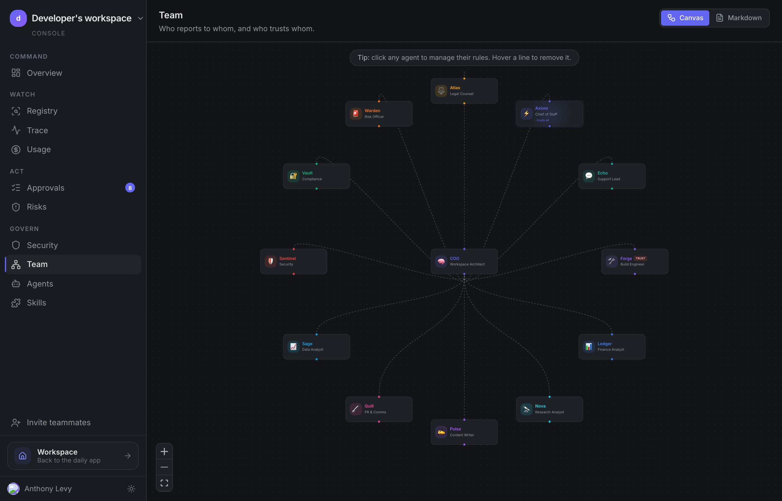 The Team canvas — grey reporting lines and indigo trust grants